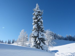 Blau wirkt auch auf Weihnachtskarten beruhigend (Foto: daniel stricker / pixelio.de).