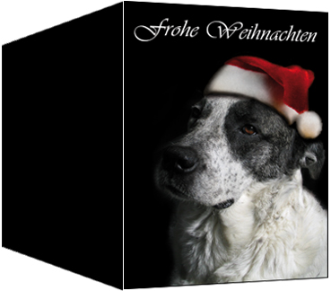 Weihnachtskarten, A6 hoch, Motiv 21
