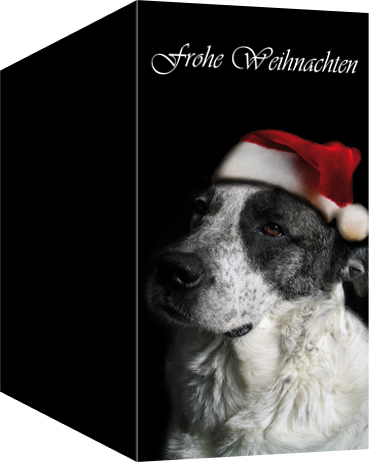 Weihnachtskarten, DIN lang hoch, Motiv 21