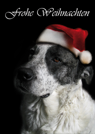 Weihnachtskarten, Weihnachtspostkarten, A6 hoch Motiv 03